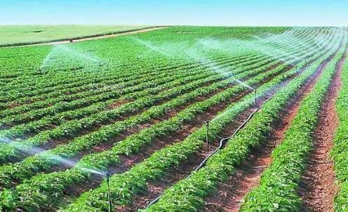 国产骚穴视频农田高 效节水灌溉